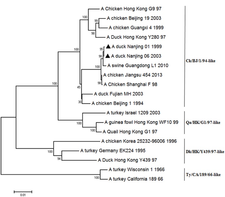 FIGURE 6