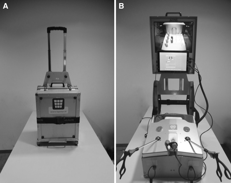 Fig. 1