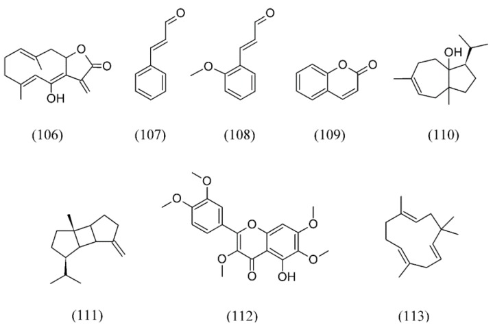 Figure 24