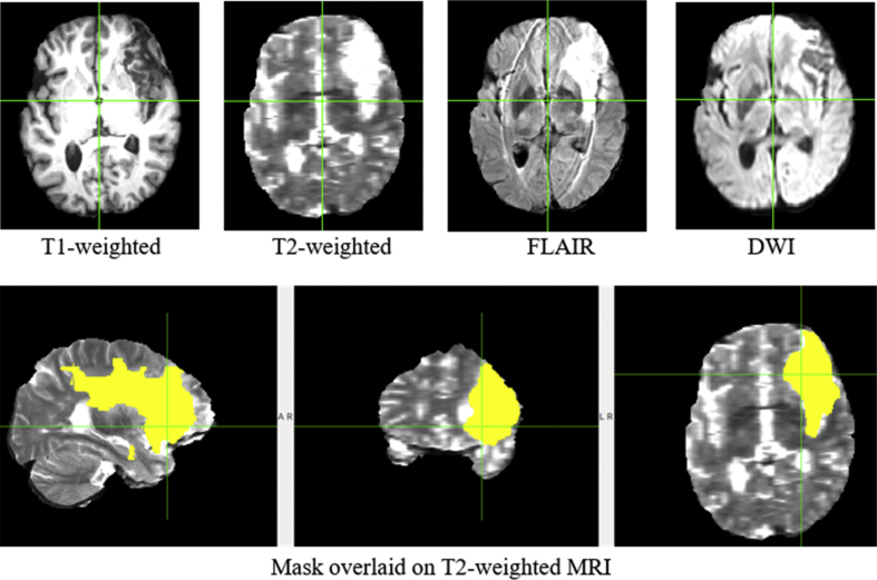 Fig. 6