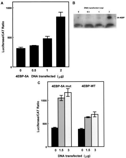 FIG. 6