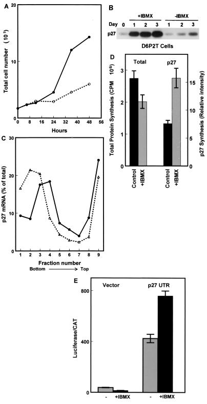 FIG. 7