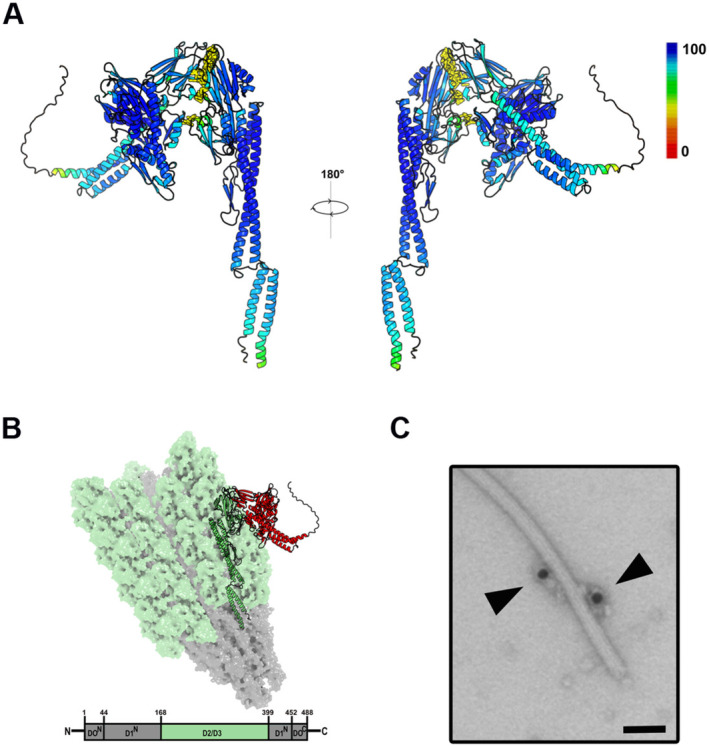 FIGURE 3