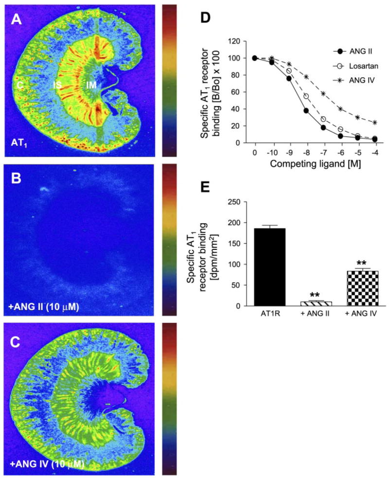 Fig. 4