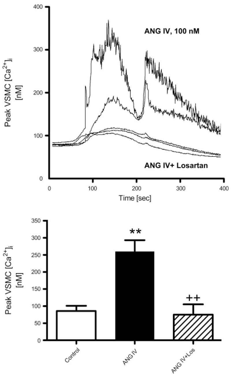 Fig. 6