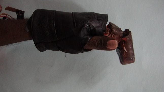 Fig. 6