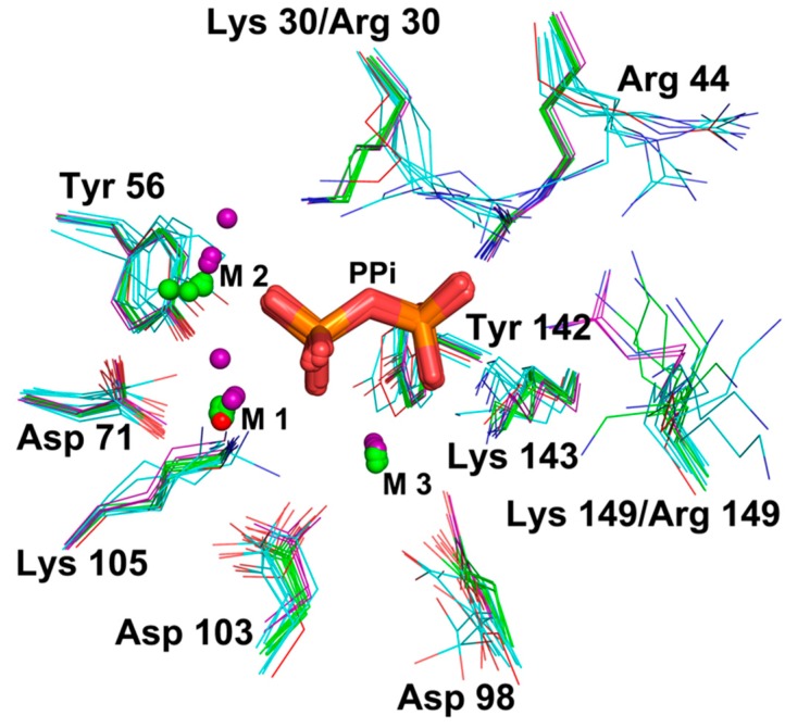 Figure 2