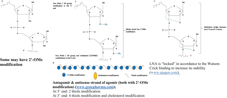 graphic file with name peerj-09-11165-i001.jpg