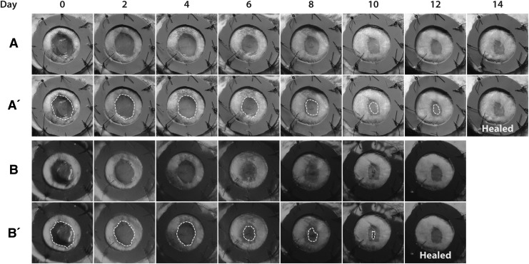 Figure 3.