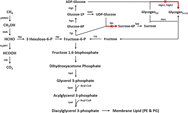 Fig. 2