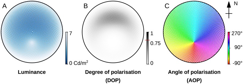 Fig 2