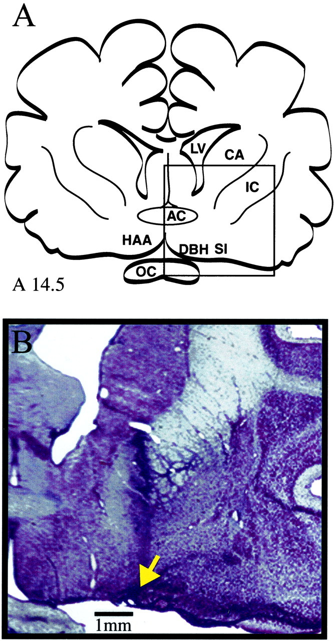 Fig. 8.