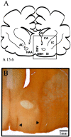 Fig. 5.