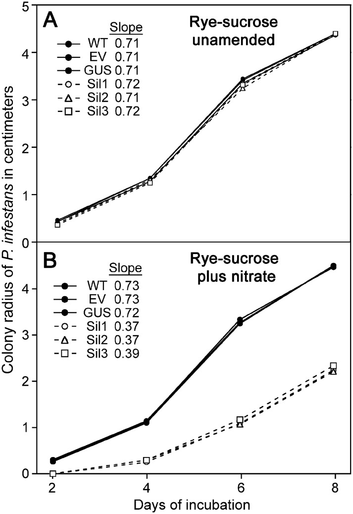 Fig 12