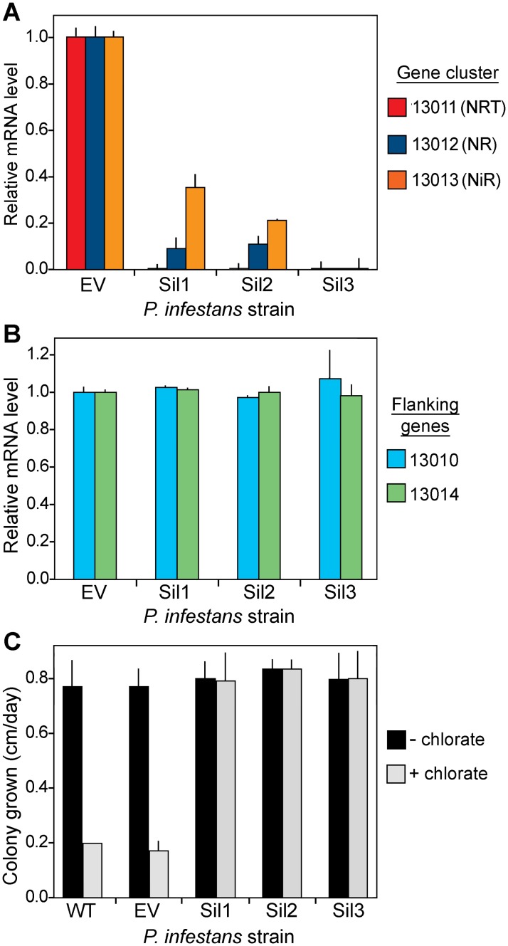 Fig 10