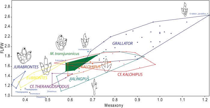 Figure 9