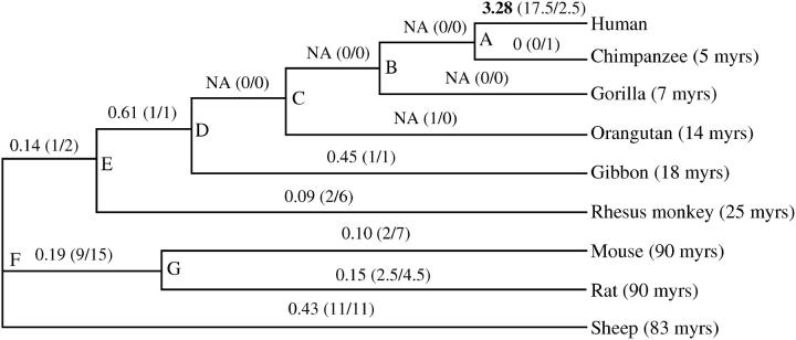 Figure 2.—