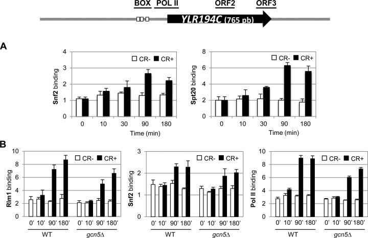 Figure 6.