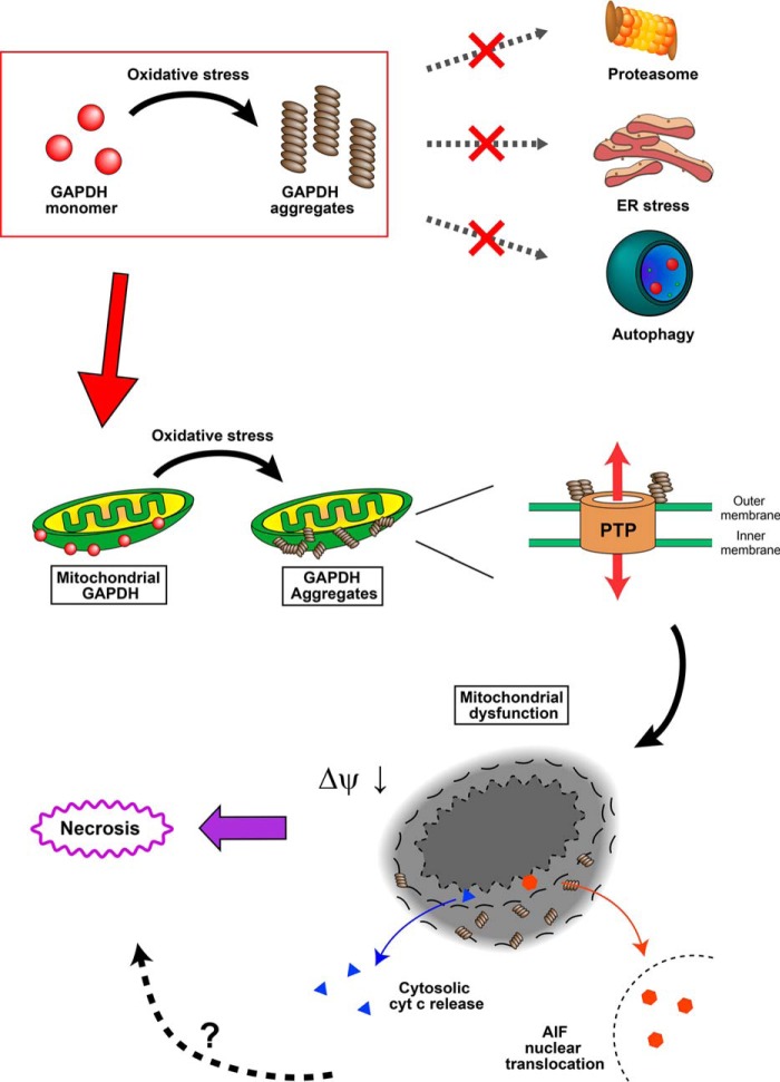 FIGURE 10.