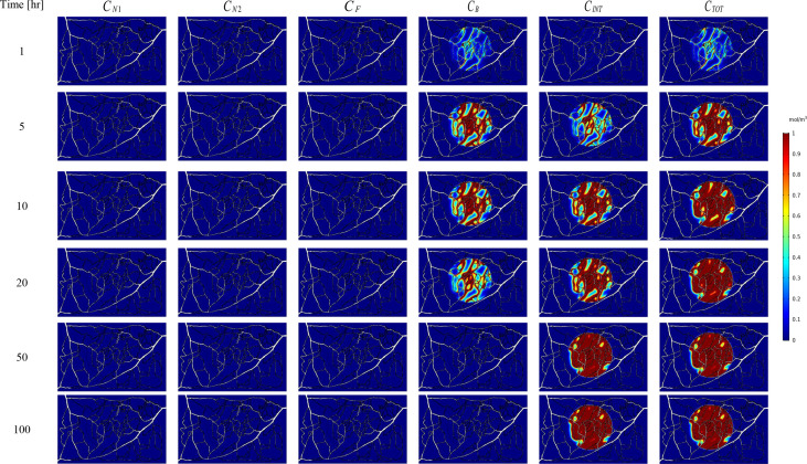 Figure 7