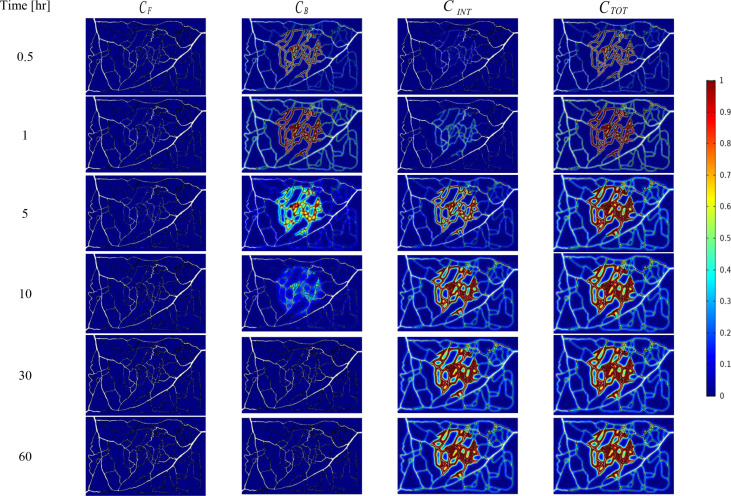 Figure 5