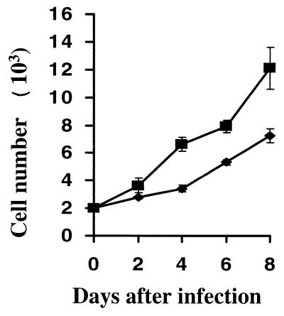 FIG. 5