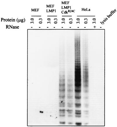 FIG. 8