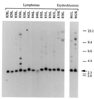 FIG. 7.