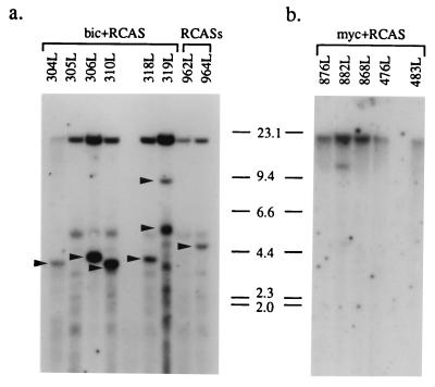 FIG. 8.