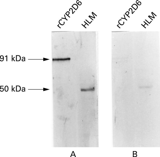 Figure 1  