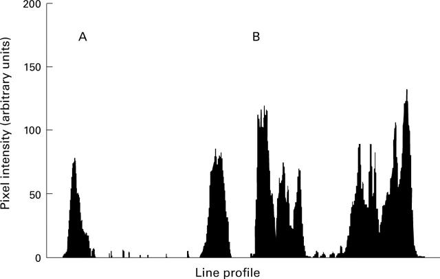 Figure 3  