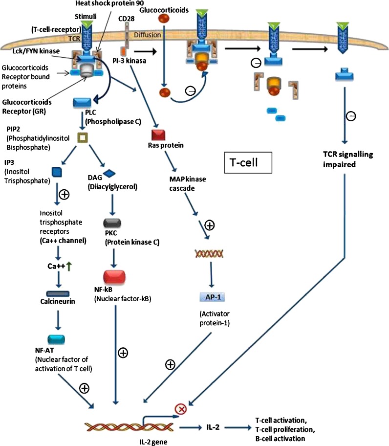 Fig. 2