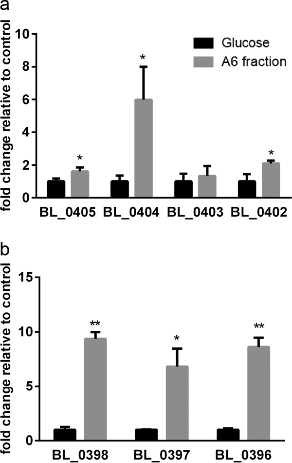 FIG 6