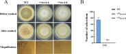 Figure 3—figure supplement 2.