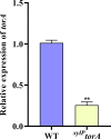 Figure 3—figure supplement 1.