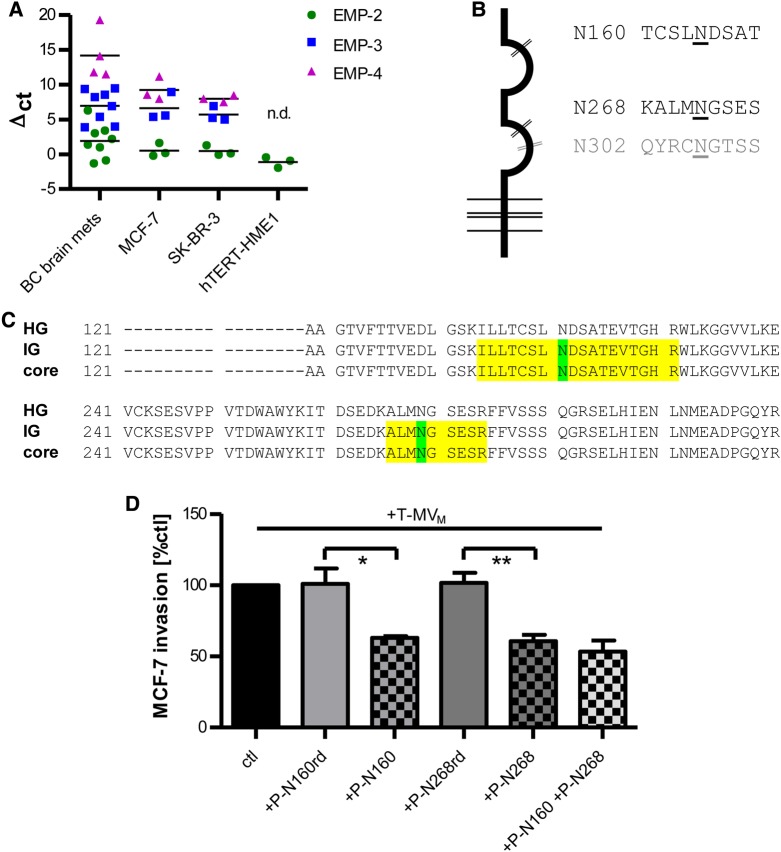 Figure 5