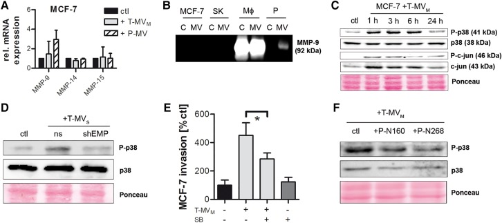 Figure 6