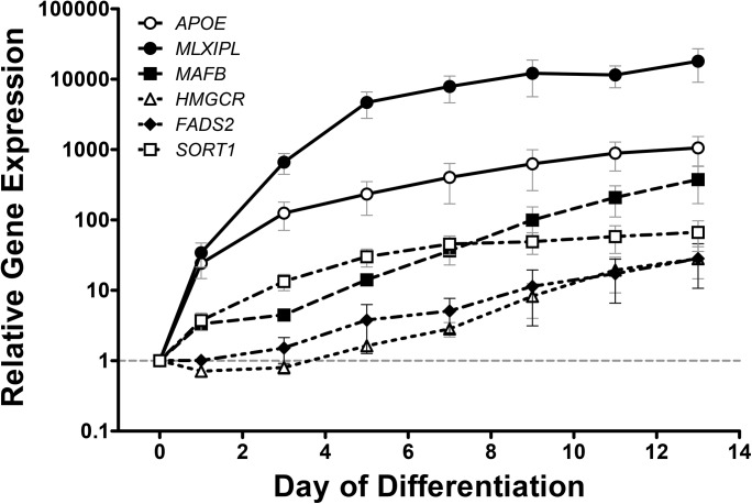 Fig 3