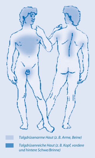 graphic file with name 272632_1_De_8_Fig3_HTML.jpg