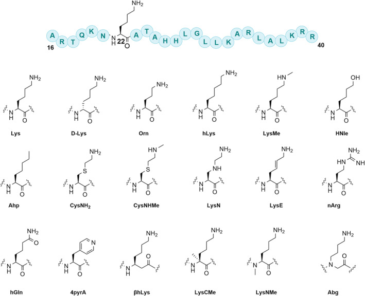 FIGURE 2