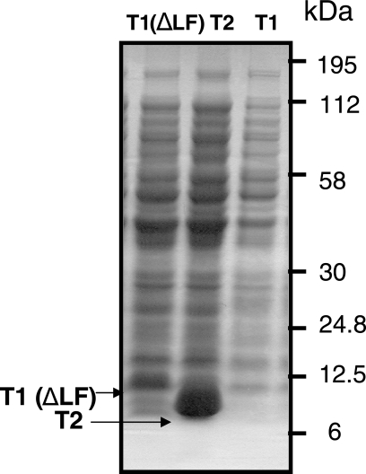 FIG. 7.