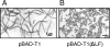 FIG. 5.