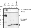 FIG. 6.
