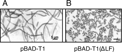 FIG. 5.