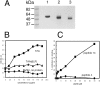 FIG. 2.