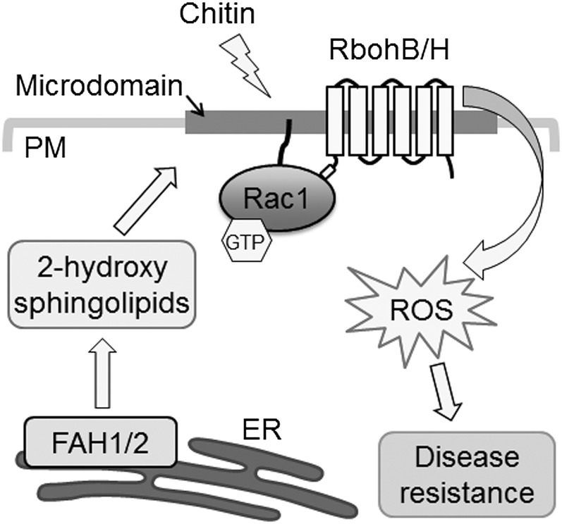 Figure 9.