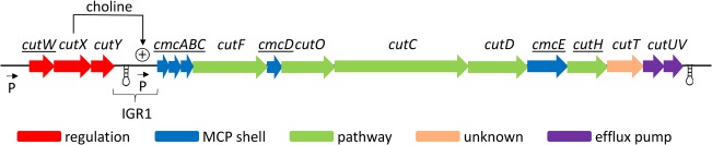 FIG 3