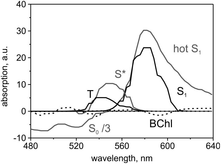 FIGURE 5