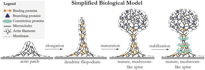 Fig 5