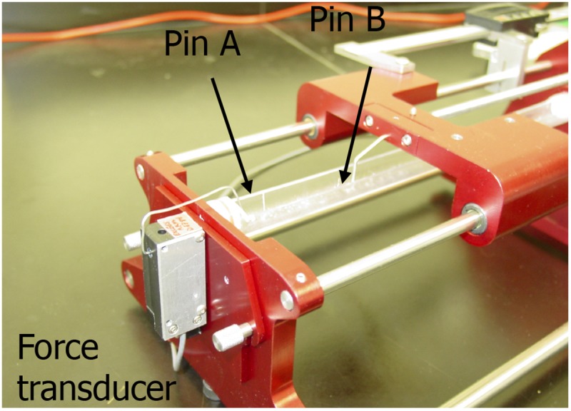 FIGURE 1